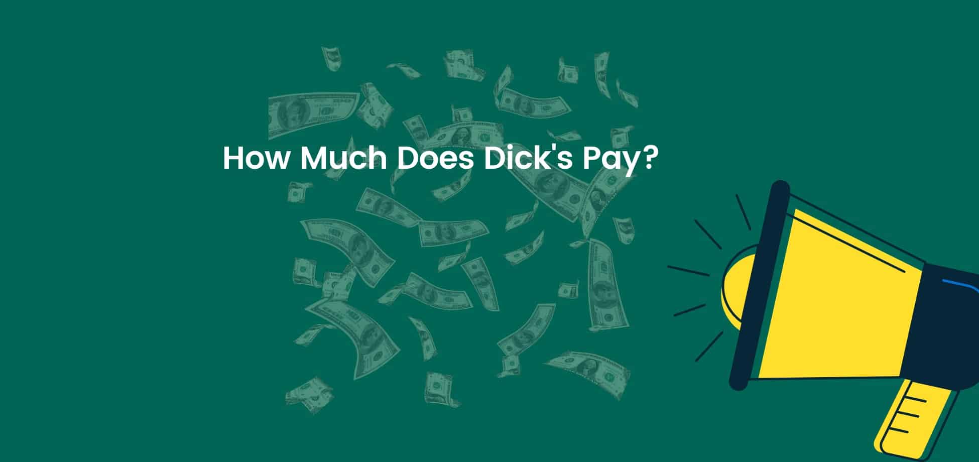 How much does dick's Sporting goods pay?