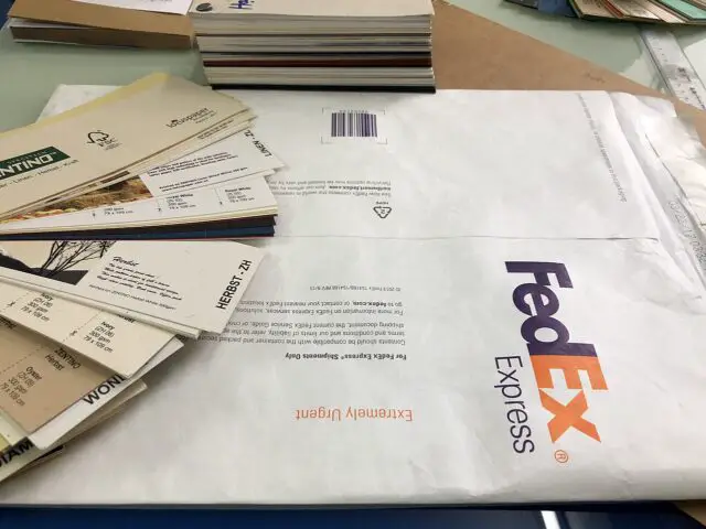 Discover how Fedex package handler jobs can be high-paying and a stepping stone to higher positions within the company.